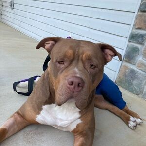 Meet your Posher, Jodi